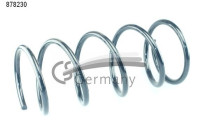chassis spring