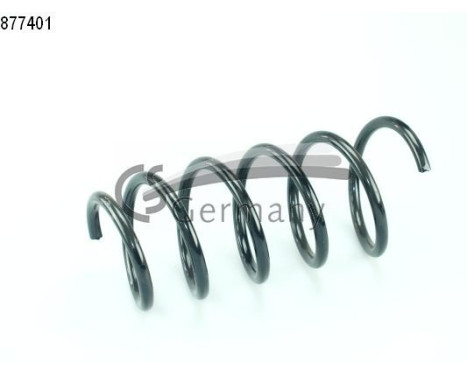 chassis spring