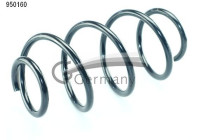 chassis spring