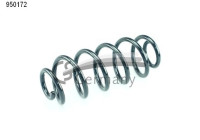 chassis spring