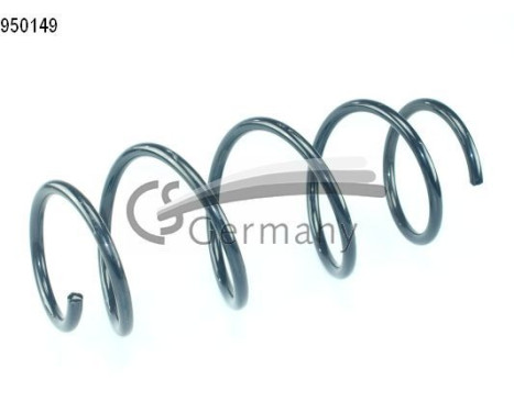 chassis spring