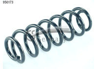 chassis spring