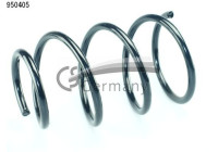 chassis spring