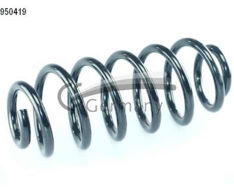 chassis spring