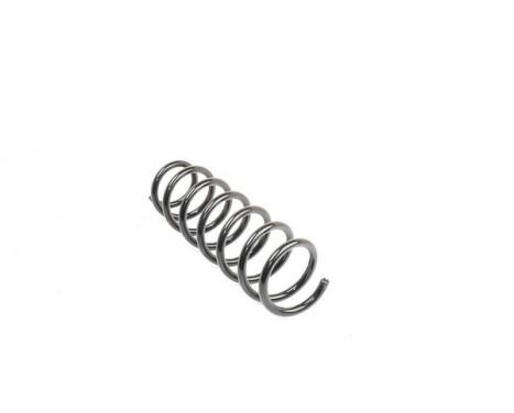 chassis spring