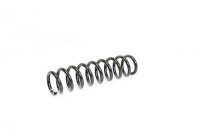 chassis spring