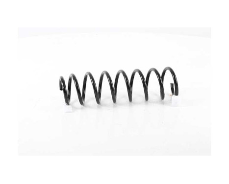 chassis spring