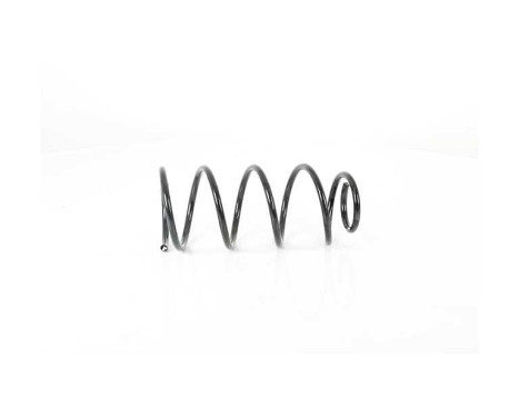 chassis spring