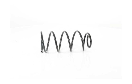 chassis spring