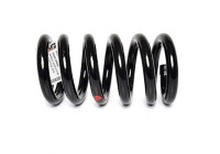 chassis spring