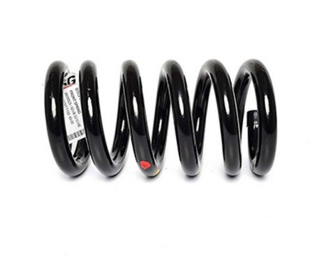 chassis spring