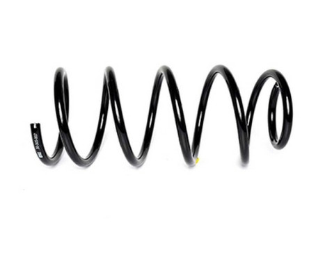 chassis spring