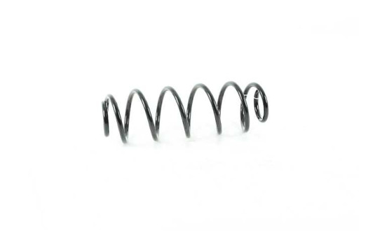 chassis spring