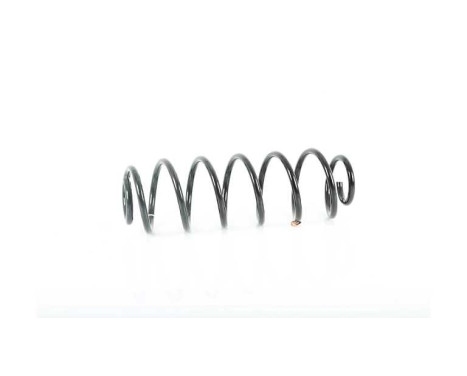 chassis spring