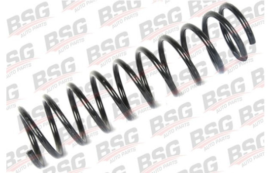 chassis spring