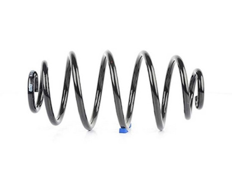 chassis spring