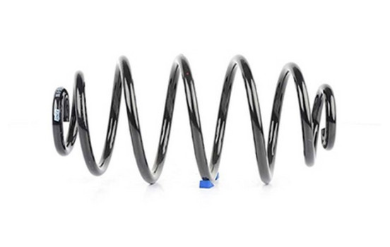 chassis spring