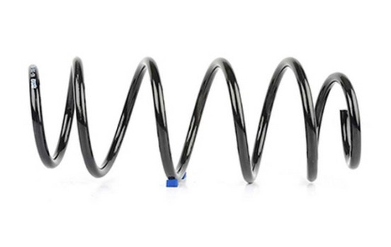 chassis spring
