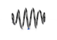 chassis spring