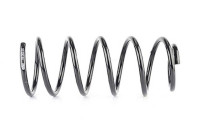 chassis spring