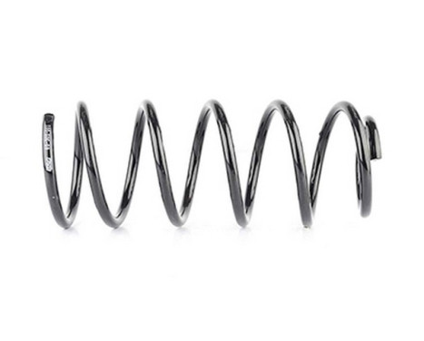 chassis spring