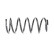 chassis spring