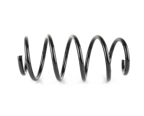chassis spring
