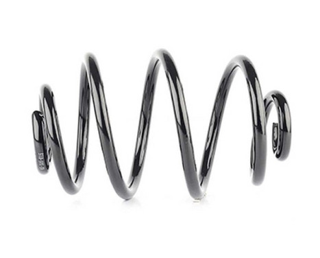 chassis spring