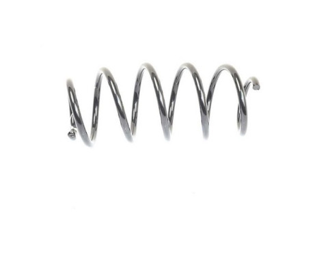 chassis spring