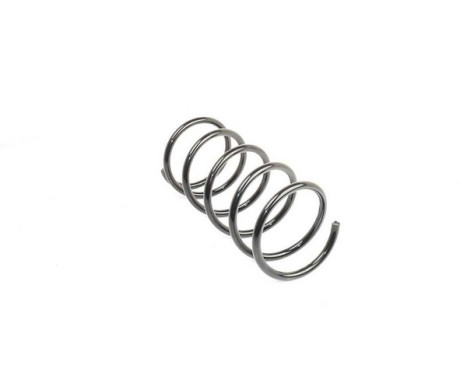 chassis spring