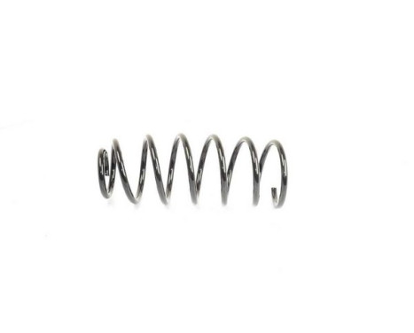 chassis spring