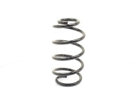 chassis spring