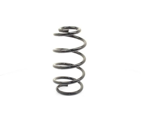 chassis spring