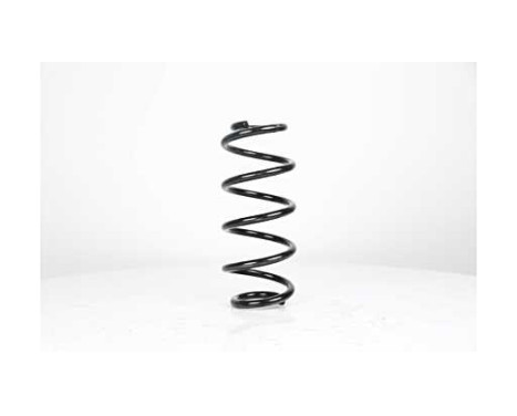 chassis spring