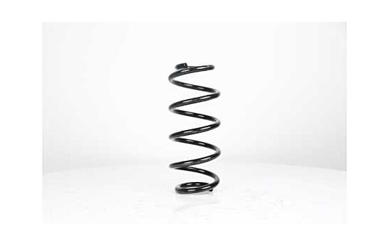 chassis spring