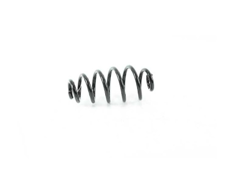 chassis spring