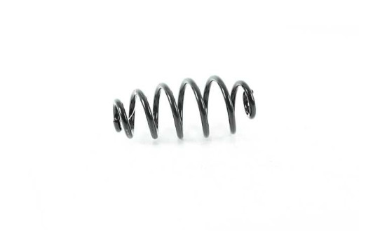 chassis spring