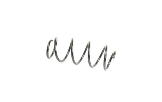 chassis spring