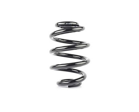 chassis spring