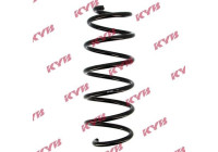 Chassis spring