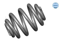 Chassis spring