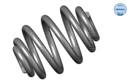 Chassis spring