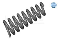 Chassis spring