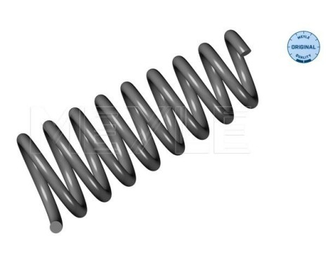 Chassis spring