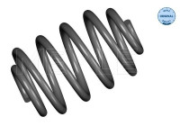 Chassis spring