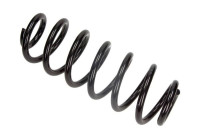 Chassis spring