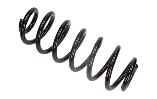 Chassis spring