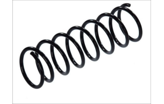 Chassis spring