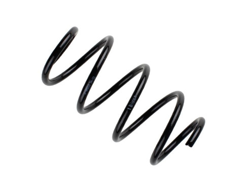 chassis spring