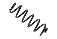 chassis spring